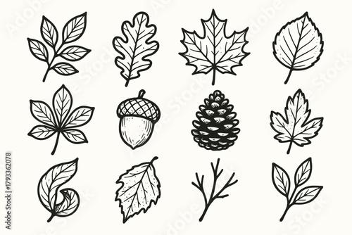 Sprig maple branch icons vector chestnut leaves acorn oak leaf icon autumn