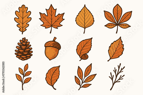 Small sprig chestnut acorn autumn vector curled leaf oak tones icon