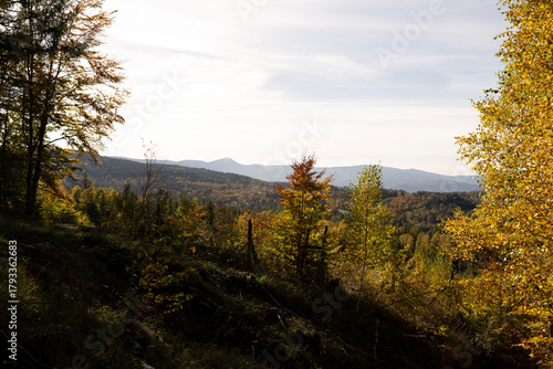 Fototapeta Naklejka Na Ścianę i Meble -  Natura, las, góry, drzewa, krajobraz, jesienią, drzew, skały, Polska, Krajobraz, Jesień, Dolny śląsk, 