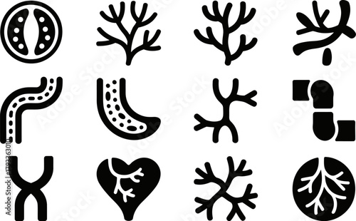 Black and White Vector Icons Showing Human Anatomy and Biology
