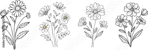 Wildflower botanical line art floral illustration minimal elegant outline drawing on white background