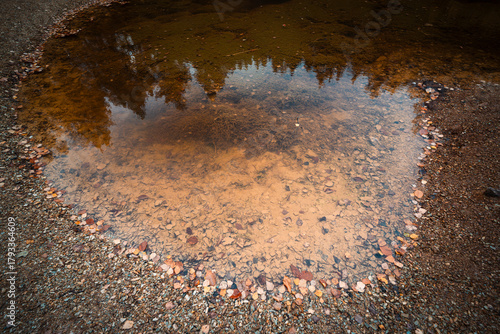 Fototapeta Naklejka Na Ścianę i Meble -  Natura, las, góry, drzewa, krajobraz, jesienią, drzew, skały, Polska, Krajobraz, Jesień, Dolny śląsk, 