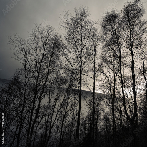 Fototapeta Naklejka Na Ścianę i Meble -  Natura, las, góry, drzewa, krajobraz, jesienią, drzew, skały, Polska, Krajobraz, Jesień, Dolny śląsk, 