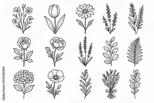 Hydrangea leaf tulip ribbon vector poppy floral flowers icon set delicate lavender