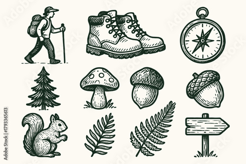 Walk feather morning wooden forest icon tree fern signpost boots mushroom vector