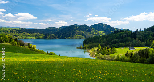 Fototapeta Naklejka Na Ścianę i Meble -  spring meadow on Lake Czorsztyn in Pieniny mountain in Poland