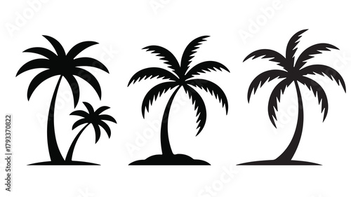 tropical coconut, palm tree silhouette