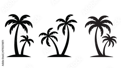 tropical coconut, palm tree silhouette