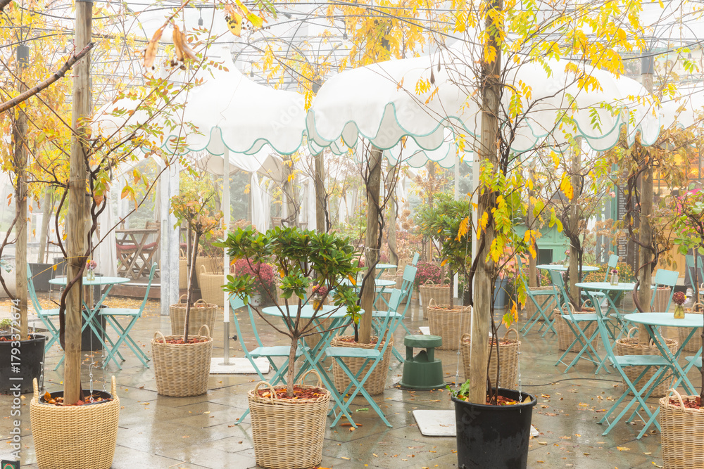 Obraz premium Storytelling image of Chisinau city in the Republic of Moldova on a calm autumn morning, wrapped in fog and warm sunrise light highlighting the charm of the capital.