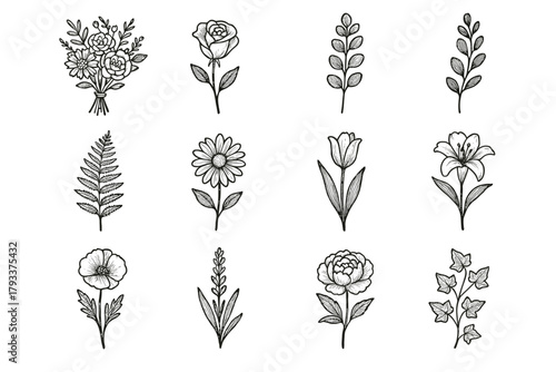 Icon fern elegant daisy ivy bouquet poppy set leaf vector floral lily