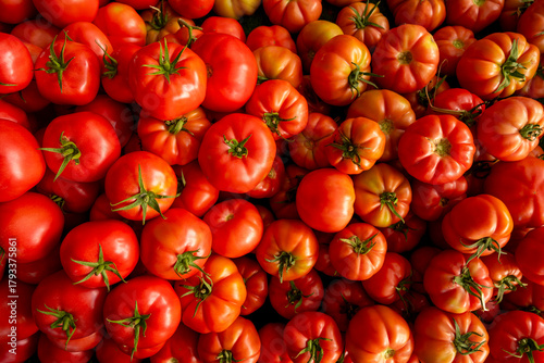 Canvas Print Organic red tomatoes for sale at farmers market