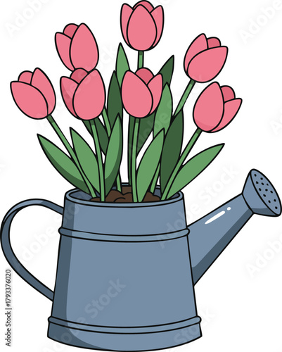 Pink tulips growing in blue metal watering can vector illustration with green leaves and soil