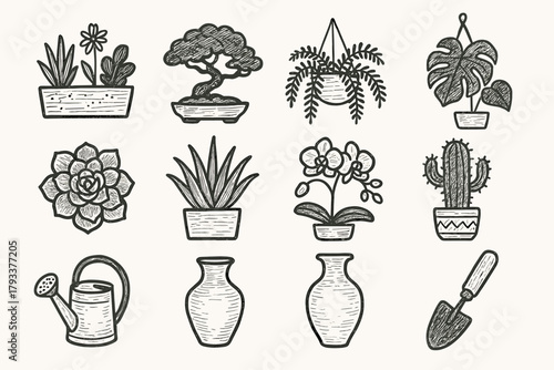 Monstera vector plant icons tree watering bonsai icon display hanging vase arrangement