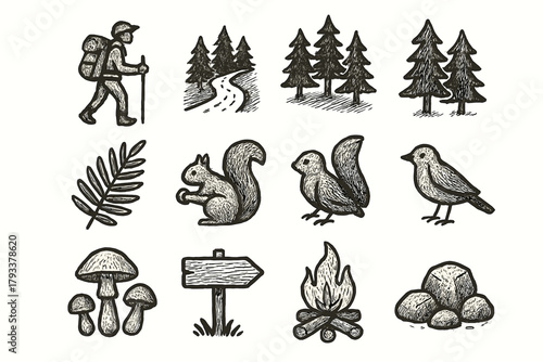 Pine sign outdoor vector wooden forest mushrooms icon squirrel path road trees