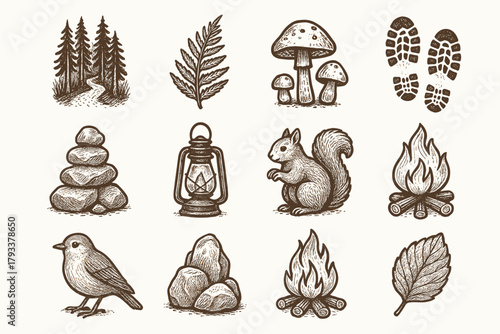 Mushrooms icon lantern leaf bird forest fern pile icons hiking vector path