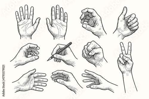 Fingers human curled anatomy pose side vector palm icon writing hand
