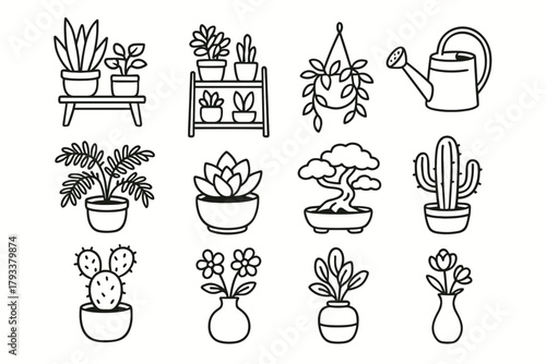 Vector icons cozy cactus vase garden icon potted plant can succulent flower