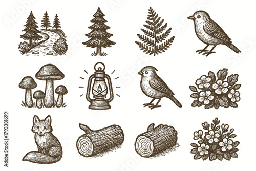 Pine fern path icon mushrooms walkway icons nature bird log forest flower