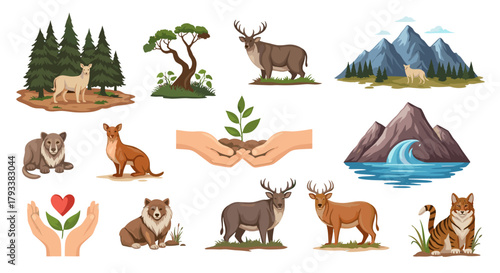 Vibrant nature scenes showcase diverse wildlife, lush forests, and majestic mountains for your next project.