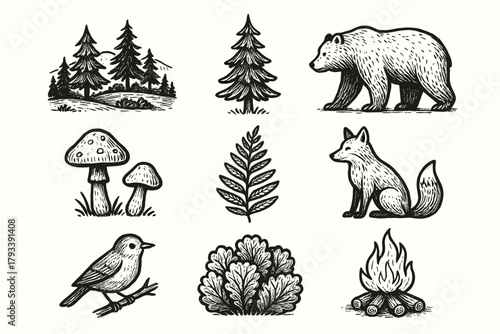Campfire bear scenery forest bird pine icon set vector rock fox mushrooms