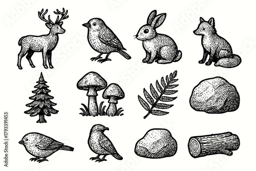 Fox rabbit fern icon set tree bird forest mushrooms vector pine