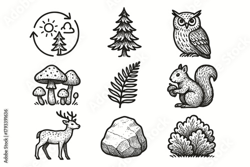 Owl mushrooms bush deer pine forest tree rock vector set squirrel icon