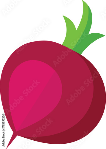 vector  of a fresh red radish