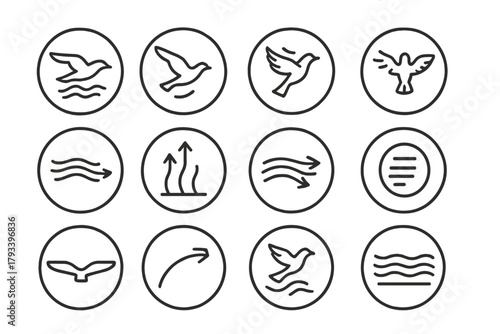 Sky Movement Icons. Line style round icons of sky movement: glide, soar, flap, hover; wind current, updraft, air stream, altitude;