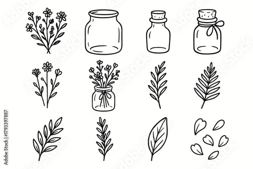 Icon vector bottle tie icons jar floral herbs arrangement petals small leaf