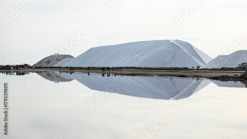 Aiguemortes et les salins
