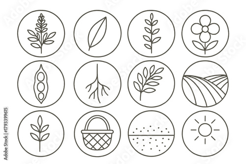 Botanical Line Icons. Line style round icons of botanical elements: indigo plant, leaf, stem, flower; pod, root, branch, field row