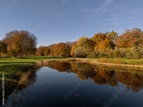 Autumn Landscape at Dutch Natuurmonumenten Reserve