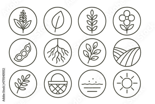 Botanical Line Icons. Line style round icons of botanical elements: indigo plant, leaf, stem, flower; pod, root, branch, field row
