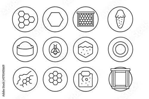 Hive Structure Icons. Line style round icons of hive structure: honeycomb, wax cell, brood frame, queen cell; capped cell, worker
