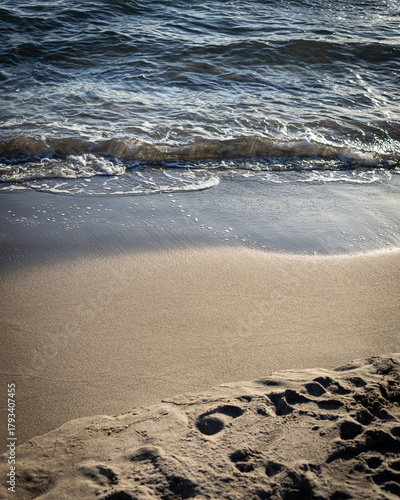 Aiguemortes et les salins