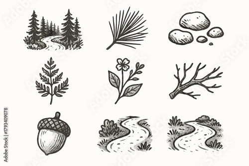 Branch path fern forest stones scenic vector icon acorn soft