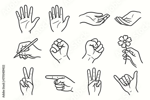 Icon cupped hand pencil vector soft fingers flower pose holding