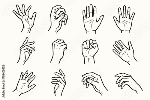 Fingers delicate vector studies expressive grasping icon hand relaxed closed