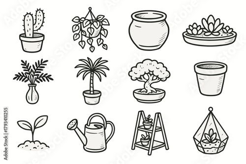 Succulent plant terrarium vector ceramic fern collection stand icon cactus potted vase