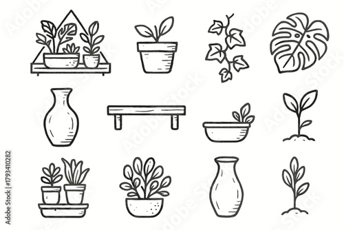 Icon ceramic plant icons greenery vector flower setup vase leaf monstera indoor