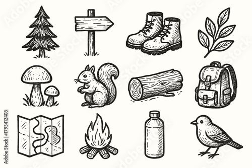 Water tall icons pine icon bottle tree map walk forest fallen log