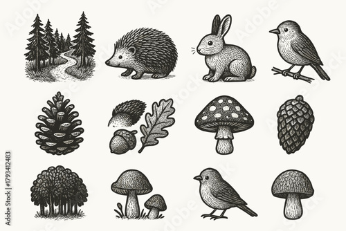 Vector bird icons pine icon cone hedgehog forest wildlife toadstool acorn