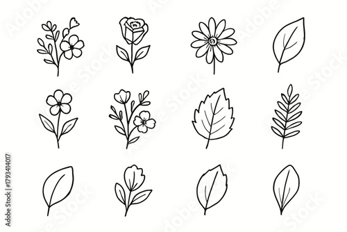 Icon vector minimal set outlines petal fern leaf single icons floral rose