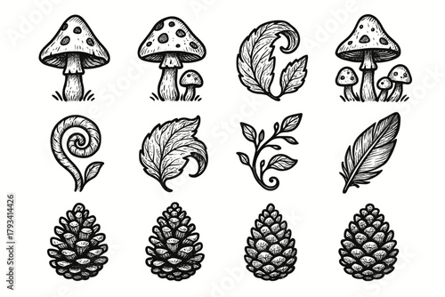 Forest bird icons icon leaf vector theme curl enchanted feather toadstool