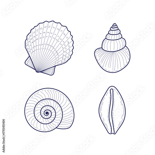 Four Hand- Drawn Dark Blue Line Art Seashells and Scallop on White Background conch