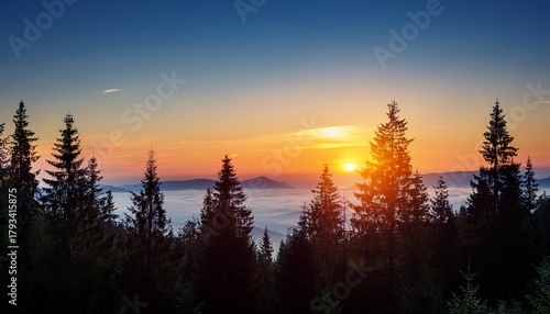 silhouette forest landscape at dawn