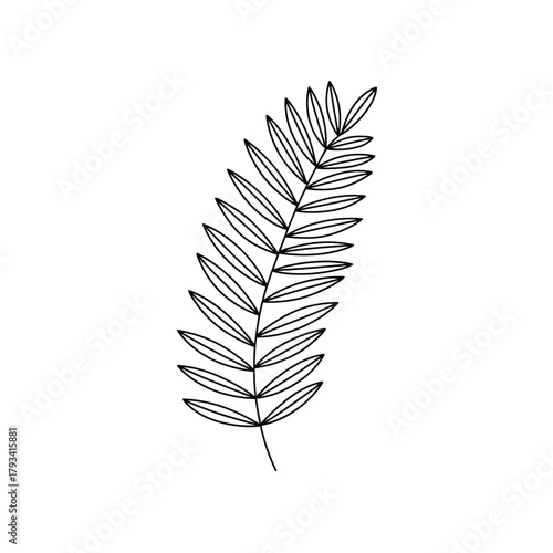 A simple, hand-drawn illustration of a fern frond against a white background.