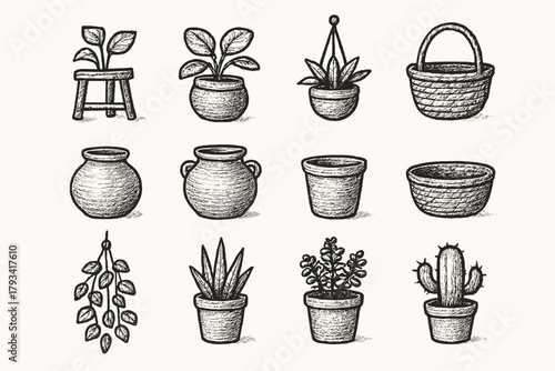Living plant rustic hanging vector icon basket cactus clay decor icons pots