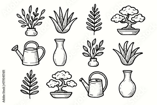 Leafy aloe bonsai can icon plant fern botanical vector set watering