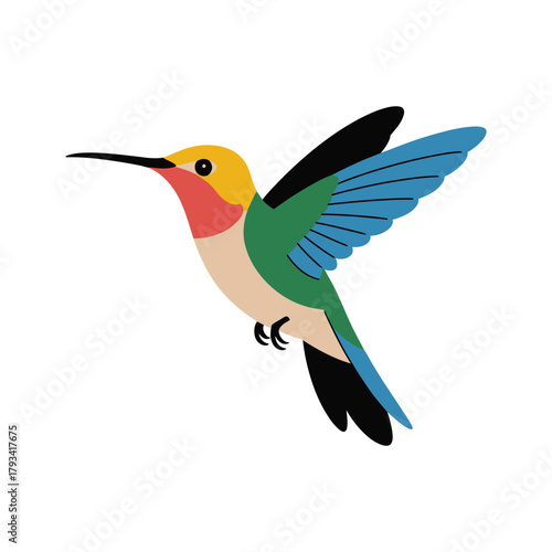 A colorful hummingbird with its wings spread is captured in flight.